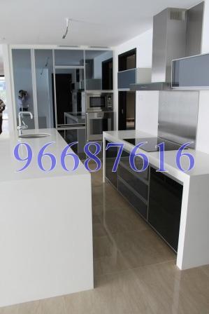 CityVista Residences (D9), Condominium #163097612